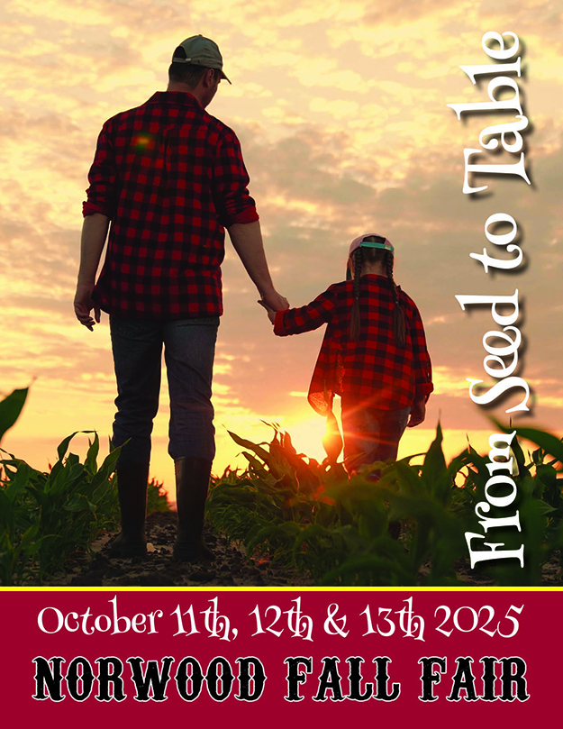 2025-Fair-Book-Cover